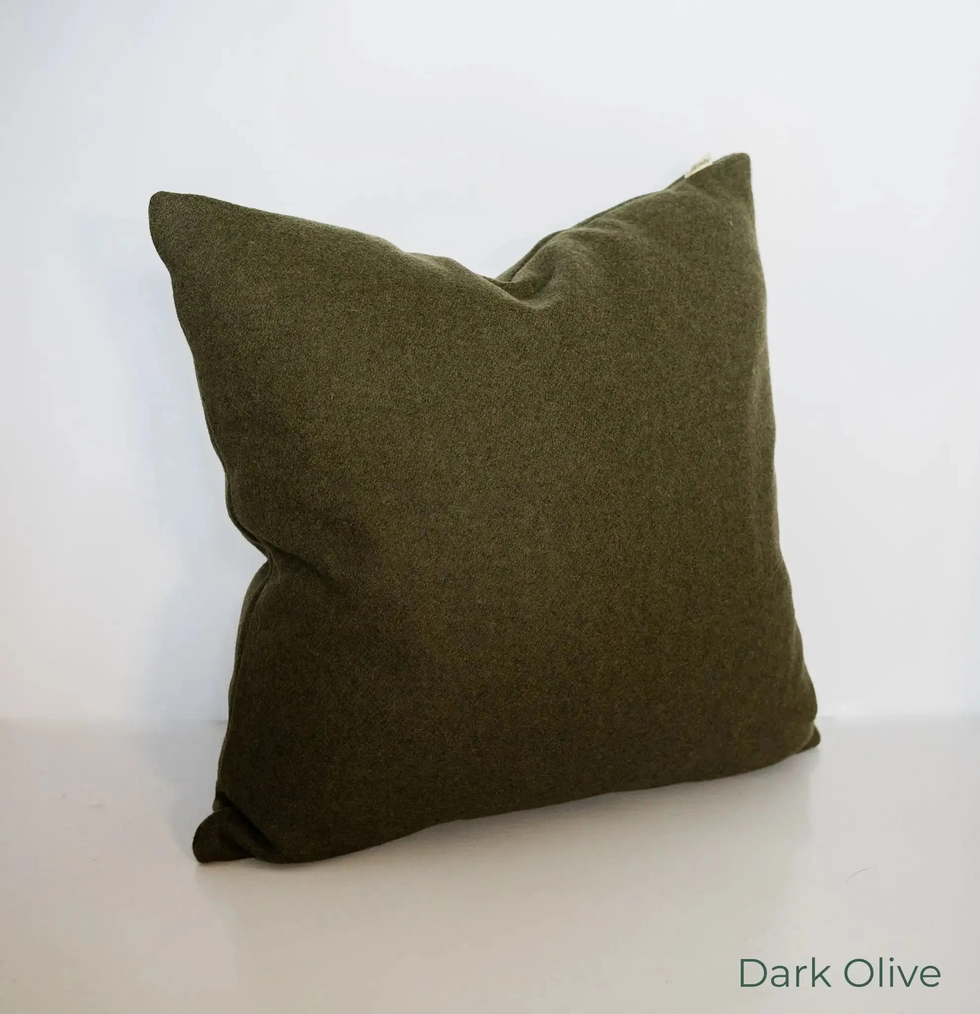 Felted NZ Wool Cushion