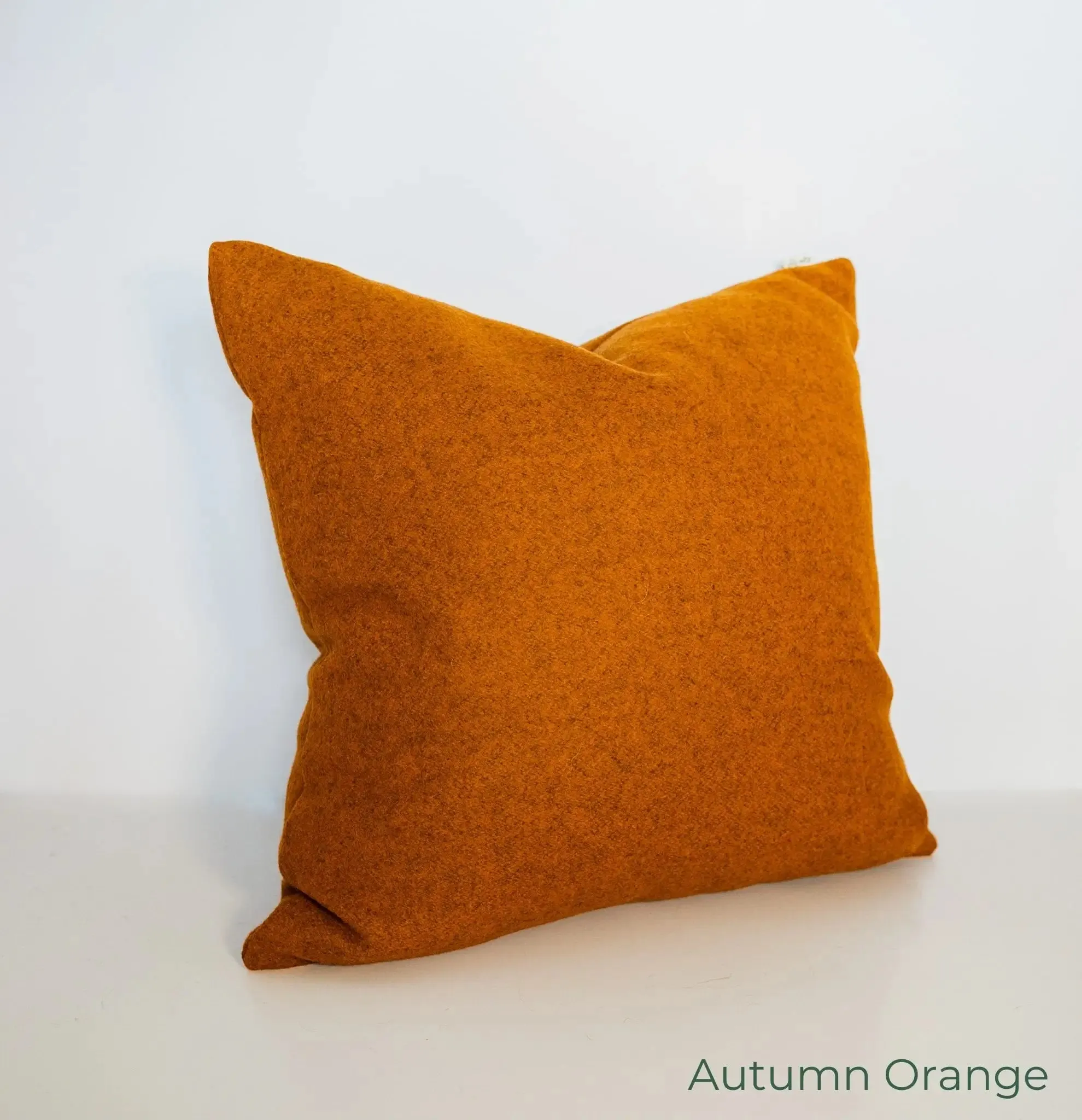 Felted NZ Wool Cushion